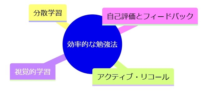 効率的な勉強法の紹介