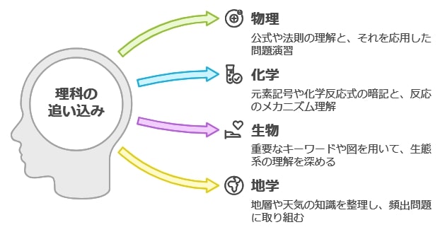 理科の追い込み：分野別アプローチ