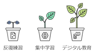 効率的に基礎を固めるためのおすすめ学習法